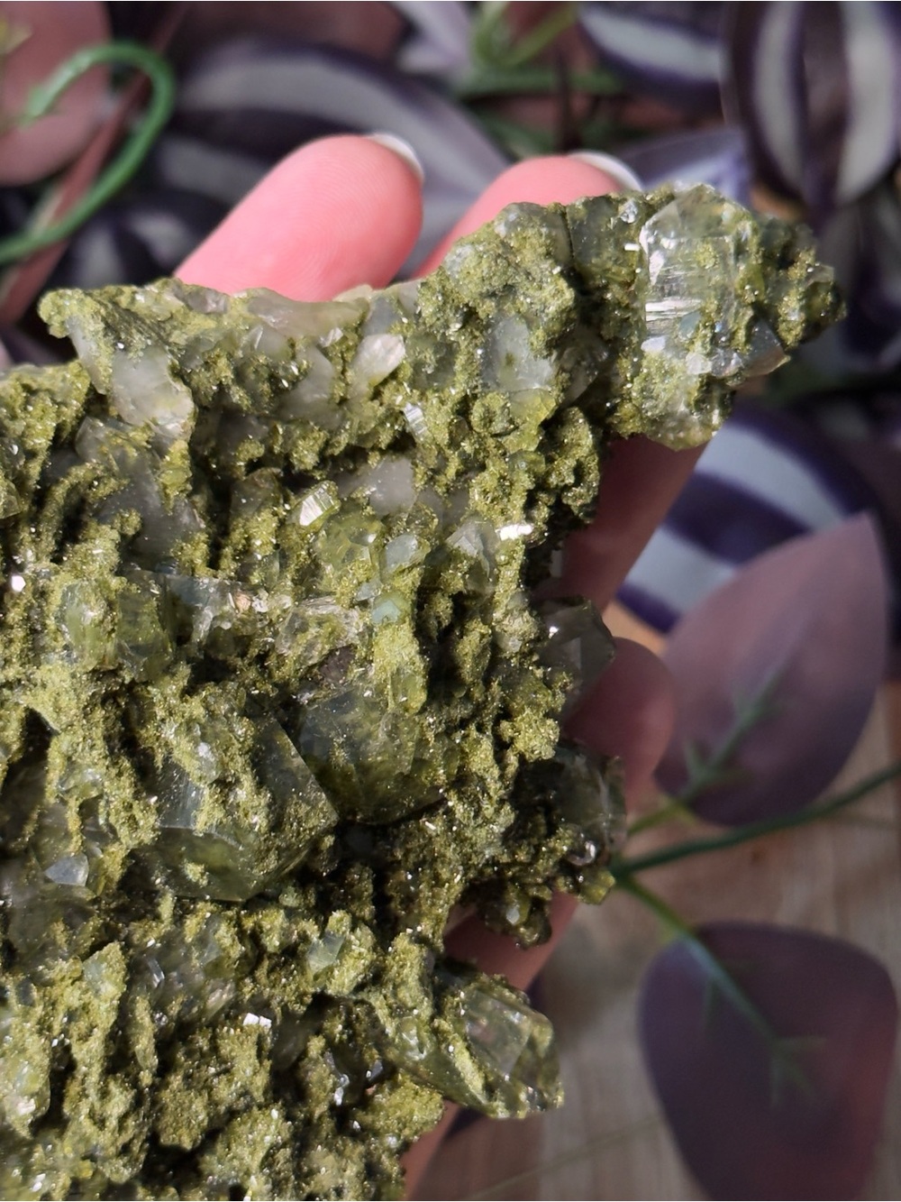 Fairy Forest Quartz (Epidote + Quartz) - Picture 9 of 10